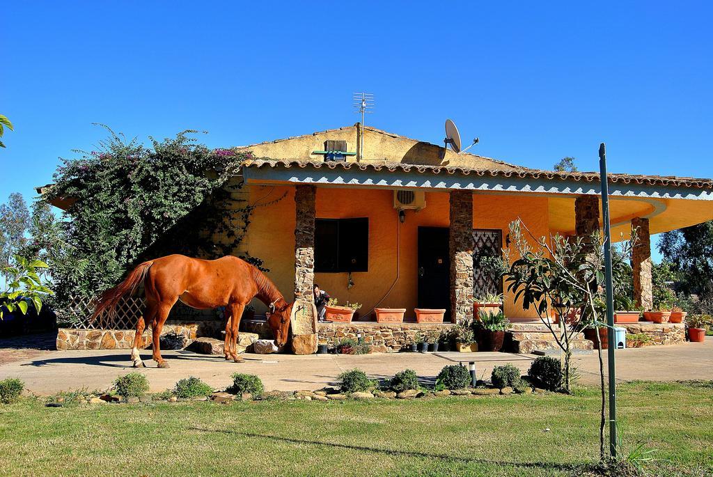 Agriturismo Monte Majore Siliqua Exterior foto